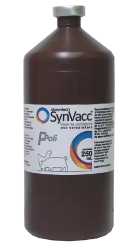 Synvacc Poli